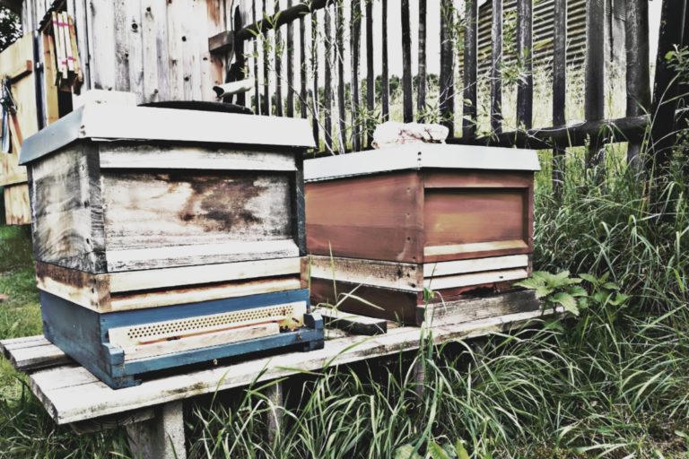 Beispielbild_Bienenzargen